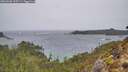 ./images/calvert/foggy-cove/20260306/foggy-cove20260306_135501M.jpg