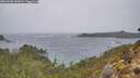 ./images/calvert/foggy-cove/20260306/foggy-cove20260306_143001M.jpg