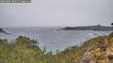 ./images/calvert/foggy-cove/20260306/foggy-cove20260306_143501M.jpg