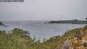 ./images/calvert/foggy-cove/20260306/foggy-cove20260306_144001M.jpg