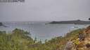 ./images/calvert/foggy-cove/20260306/foggy-cove20260306_144501M.jpg