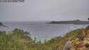 ./images/calvert/foggy-cove/20260306/foggy-cove20260306_145002M.jpg