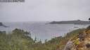 ./images/calvert/foggy-cove/20260306/foggy-cove20260306_154001M.jpg
