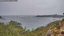 ./images/calvert/foggy-cove/20260306/foggy-cove20260306_154501M.jpg