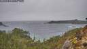 ./images/calvert/foggy-cove/20260306/foggy-cove20260306_155501M.jpg