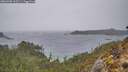 ./images/calvert/foggy-cove/20260306/foggy-cove20260306_162501M.jpg
