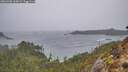 ./images/calvert/foggy-cove/20260306/foggy-cove20260306_165001M.jpg