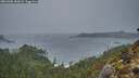 ./images/calvert/foggy-cove/20260306/foggy-cove20260306_181001M.jpg