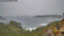 ./images/calvert/foggy-cove/20260307/foggy-cove20260307_074502M.jpg