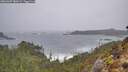 ./images/calvert/foggy-cove/20260307/foggy-cove20260307_080501M.jpg