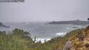 ./images/calvert/foggy-cove/20260307/foggy-cove20260307_081001M.jpg