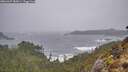 ./images/calvert/foggy-cove/20260307/foggy-cove20260307_083001M.jpg
