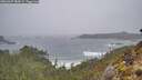./images/calvert/foggy-cove/20260307/foggy-cove20260307_084501M.jpg