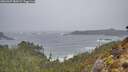./images/calvert/foggy-cove/20260307/foggy-cove20260307_085001M.jpg