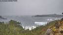 ./images/calvert/foggy-cove/20260307/foggy-cove20260307_085501M.jpg