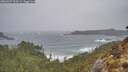 ./images/calvert/foggy-cove/20260307/foggy-cove20260307_090501M.jpg