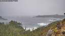 ./images/calvert/foggy-cove/20260307/foggy-cove20260307_091502M.jpg