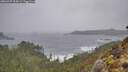 ./images/calvert/foggy-cove/20260307/foggy-cove20260307_095001M.jpg