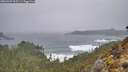 ./images/calvert/foggy-cove/20260307/foggy-cove20260307_095501M.jpg