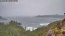 ./images/calvert/foggy-cove/20260307/foggy-cove20260307_100001M.jpg