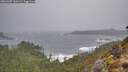 ./images/calvert/foggy-cove/20260307/foggy-cove20260307_100501M.jpg