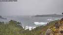 ./images/calvert/foggy-cove/20260307/foggy-cove20260307_105001M.jpg