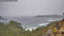 ./images/calvert/foggy-cove/20260307/foggy-cove20260307_105501M.jpg