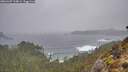 ./images/calvert/foggy-cove/20260307/foggy-cove20260307_124001M.jpg