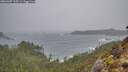 ./images/calvert/foggy-cove/20260307/foggy-cove20260307_125501M.jpg