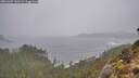 ./images/calvert/foggy-cove/20260307/foggy-cove20260307_141501M.jpg