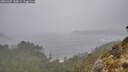 ./images/calvert/foggy-cove/20260307/foggy-cove20260307_150001M.jpg