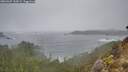 ./images/calvert/foggy-cove/20260307/foggy-cove20260307_154501M.jpg
