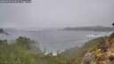 ./images/calvert/foggy-cove/20260307/foggy-cove20260307_161001M.jpg