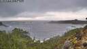 ./images/calvert/foggy-cove/20260307/foggy-cove20260307_174001M.jpg