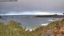 ./images/calvert/foggy-cove/20260308/foggy-cove20260308_085001M.jpg