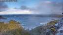 ./images/calvert/foggy-cove/20260309/foggy-cove20260309_095001M.jpg