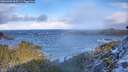 ./images/calvert/foggy-cove/20260309/foggy-cove20260309_095501M.jpg