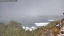 ./images/calvert/foggy-cove/20260309/foggy-cove20260309_121501M.jpg