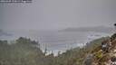 ./images/calvert/foggy-cove/20260309/foggy-cove20260309_125002M.jpg