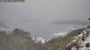 ./images/calvert/foggy-cove/20260309/foggy-cove20260309_132002M.jpg