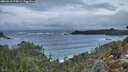./images/calvert/foggy-cove/20260310/foggy-cove20260310_075001M.jpg