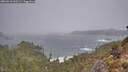 ./images/calvert/foggy-cove/20260310/foggy-cove20260310_100501M.jpg