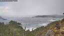 ./images/calvert/foggy-cove/20260310/foggy-cove20260310_101501M.jpg