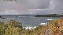 ./images/calvert/foggy-cove/20260310/foggy-cove20260310_135002M.jpg