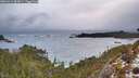 ./images/calvert/foggy-cove/20260311/foggy-cove20260311_083001M.jpg