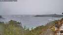 ./images/calvert/foggy-cove/20260311/foggy-cove20260311_091501M.jpg