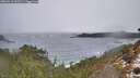 ./images/calvert/foggy-cove/20260311/foggy-cove20260311_092501M.jpg