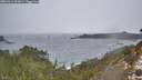 ./images/calvert/foggy-cove/20260311/foggy-cove20260311_093001M.jpg