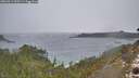 ./images/calvert/foggy-cove/20260311/foggy-cove20260311_093501M.jpg