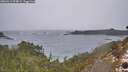 ./images/calvert/foggy-cove/20260311/foggy-cove20260311_094001M.jpg